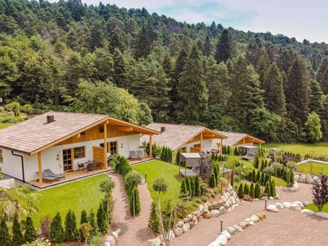 Alpwell Chalet - ca. 60 m² with terrace image 2