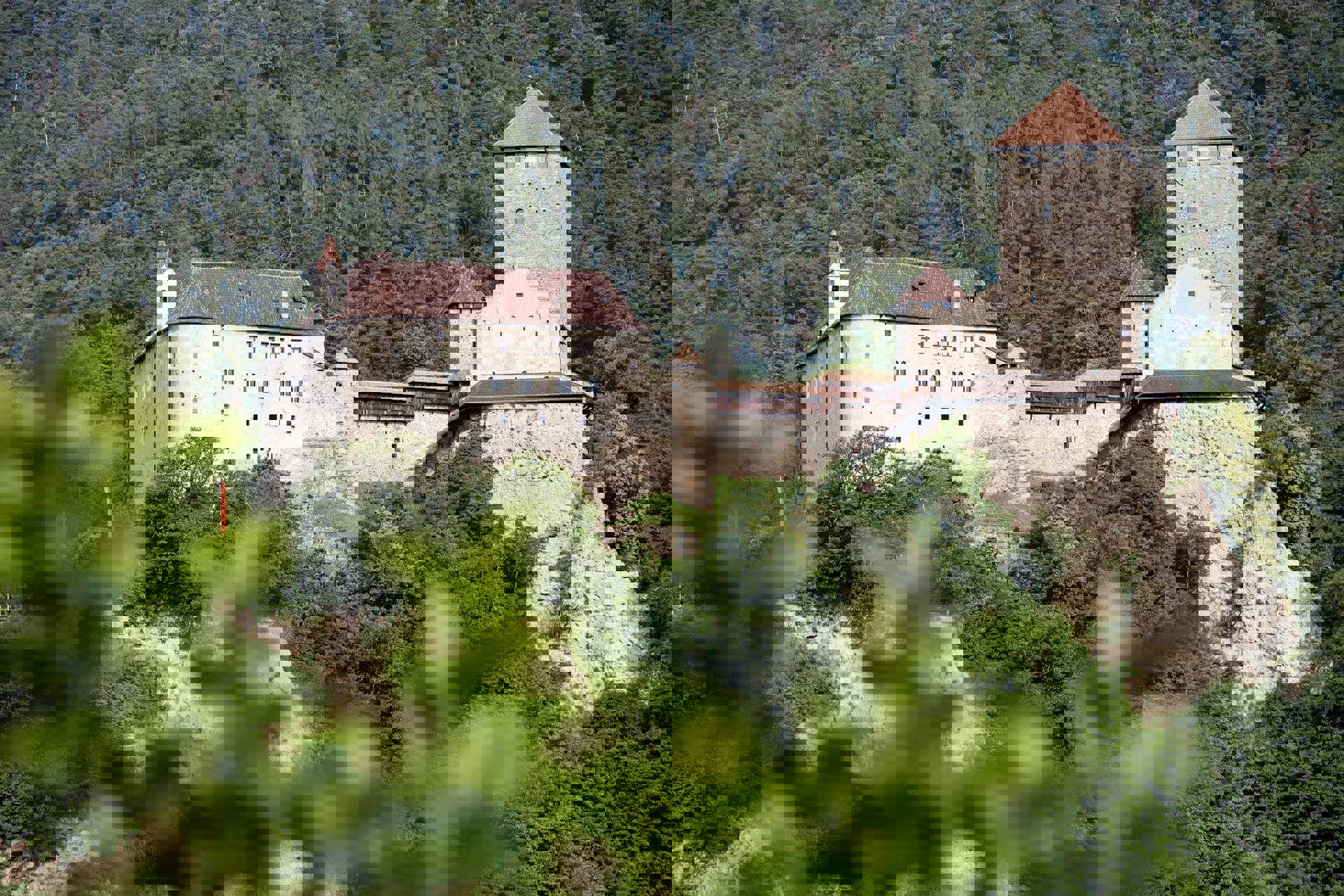 Anno dei musei dell'Euregio 2025 Anno dei musei dell'Euregio 2025