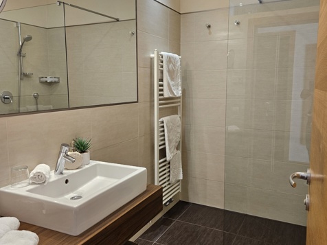 Apartemtent Excellence image 16