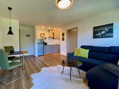 Apartment B - Bilokal Mountain image 15