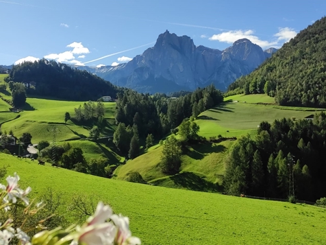 Apartment B - Seiseralm image 11