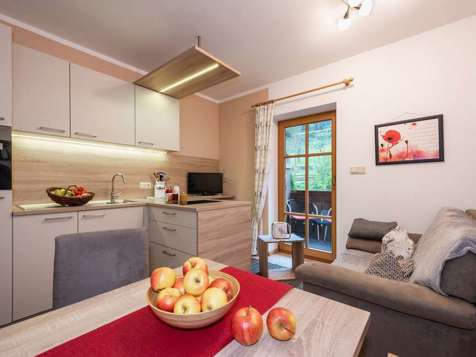 Apartment Birke (Birch) image 2