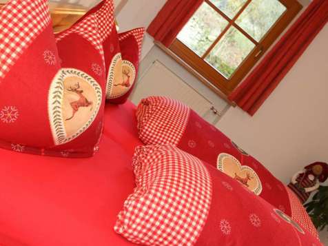 Apartment Birke (Birch) image 5