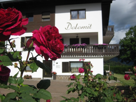 Apartment D image 7