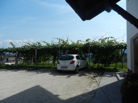 Apartment Palmenblick image 12