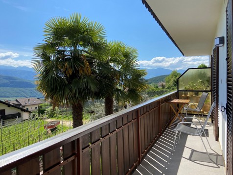 Apartment Palmenblick image 19