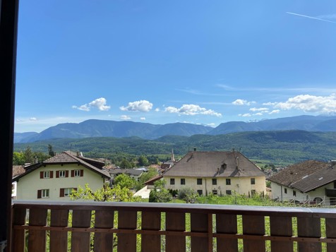 Apartment Palmenblick image 20