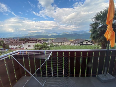Apartment Palmenblick image 21