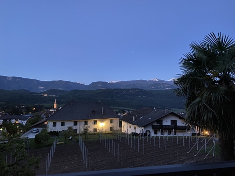 Apartment Palmenblick image 3