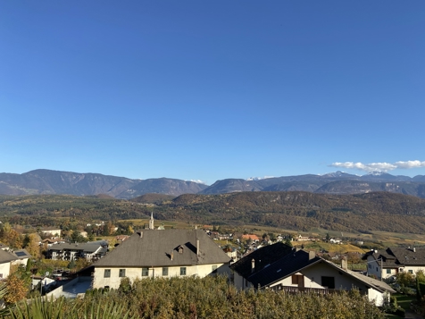 Apartment Palmenblick image 8