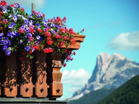 Apartment RASCHÖTZ (2 rooms ca. 30 m²) image 10