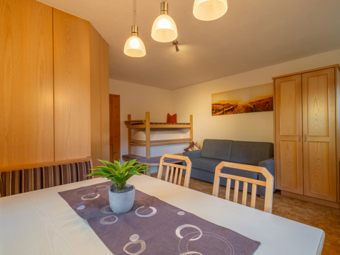 Apartment Sonnenschein image 7