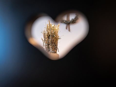 Apartment Terra image 14