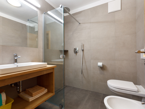 Apartment type C „Alpine Carnatio“ image 2