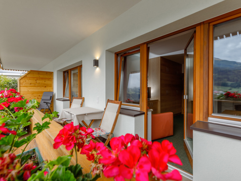 Apartment type C „Alpine Carnatio“ image 6