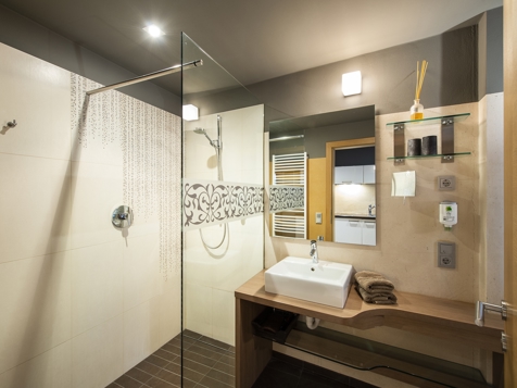 Apartment Type F image 4
