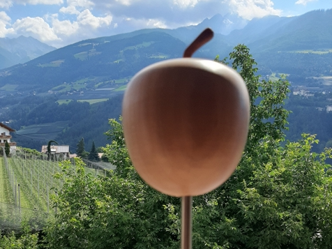 APPARTAMENTO APFELOASE image 7