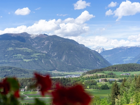 Appartamento “Hoamatgfühl” image 31