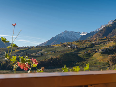 Appartamento Merano image 7