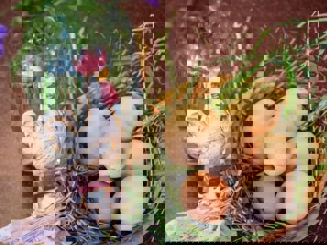 APPARTAMENTO MONTE SPICO image 8
