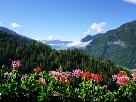 Appartamento-Panorma image 5