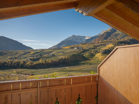 Appartement Dorf Tirol image 7