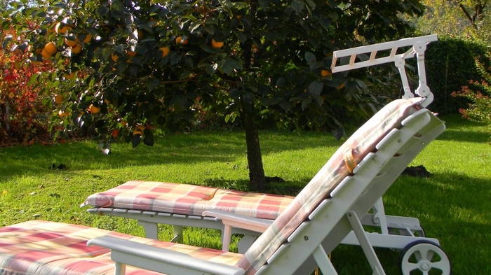 Appartement Seespiegel in St. Josef am See - 3 Sterne Ferienwohnung