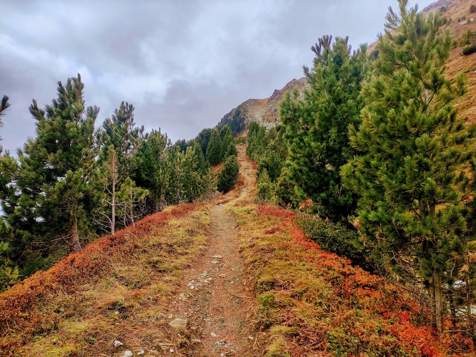 Autumn in Ahrntal