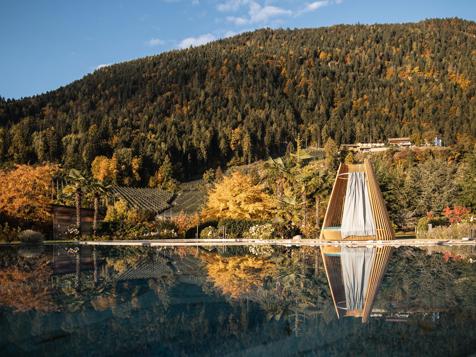 Autunno dorato all'ALPIANA