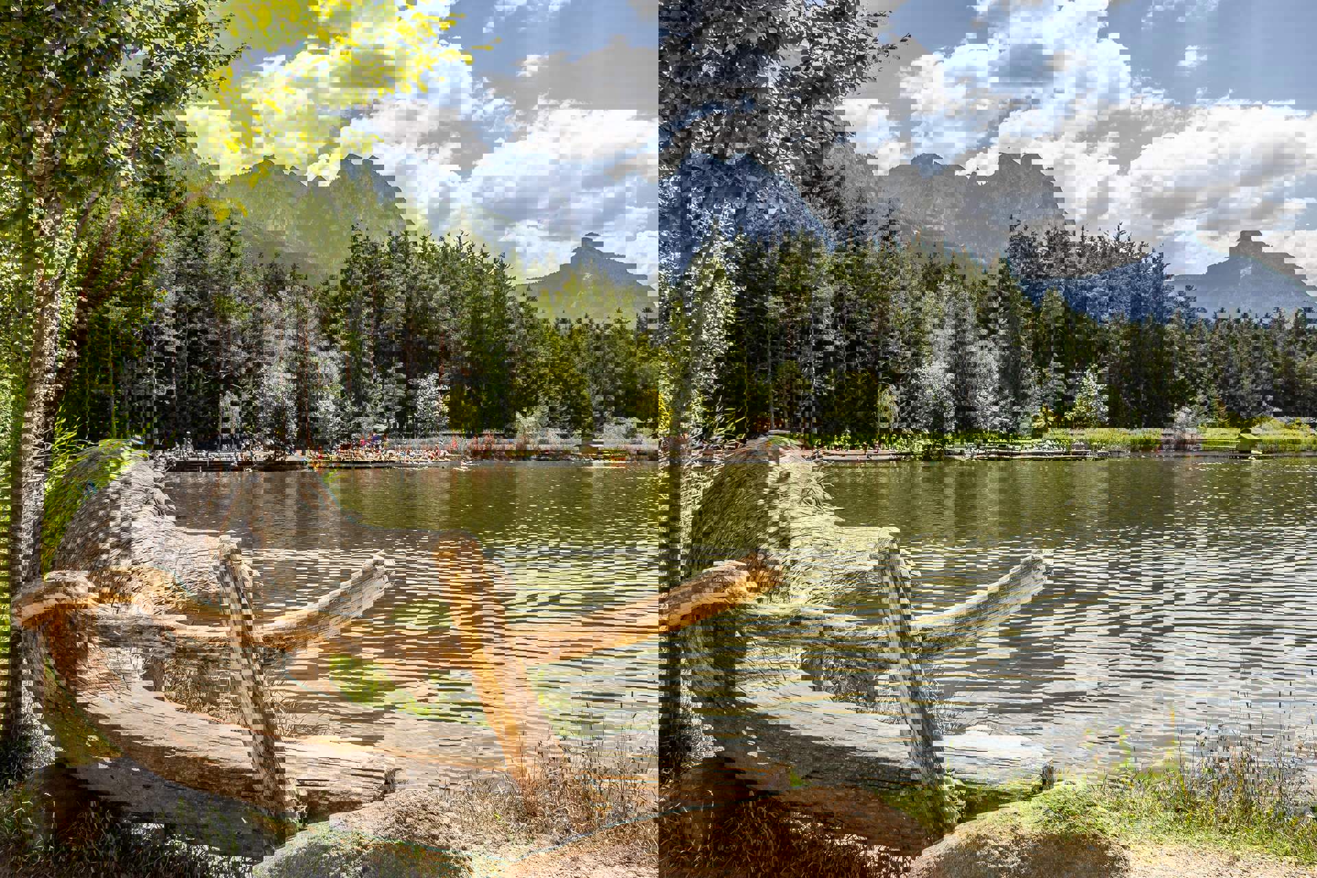 Bathing lake & biotope in the Dolomites region Bathing lake & biotope in the Dolomites region