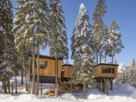 Baumhaus Trend image 7