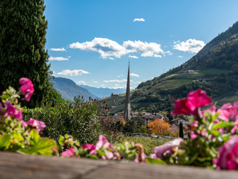 Bellissima camera con terazza con vista panoramica image 9