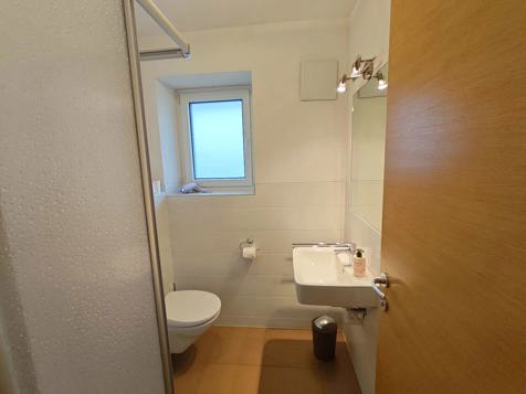 Big apartment "Dolomit" image 36