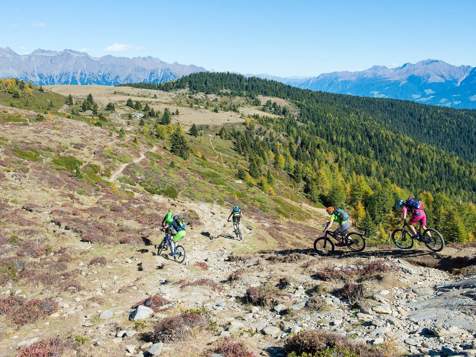 Biking in Naturns