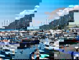 Boats in the harbour