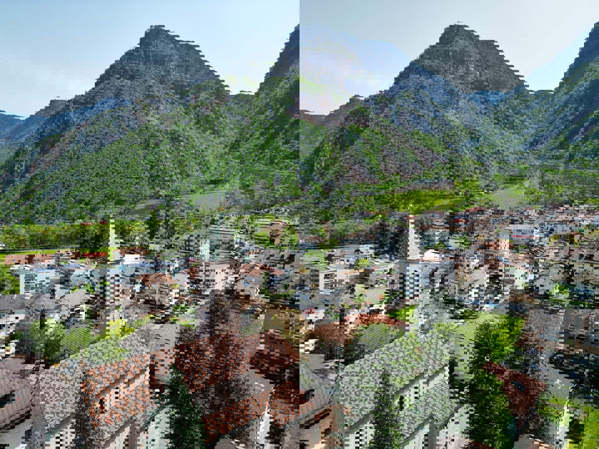 Branzoll Branzoll