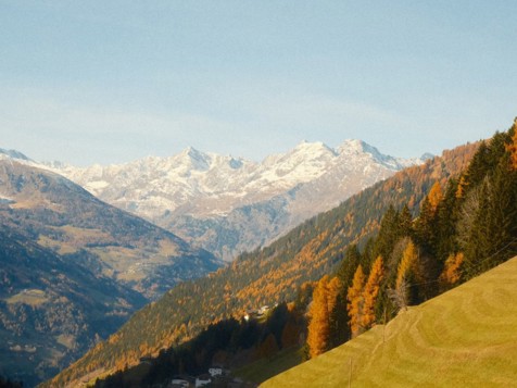 Camera BIO Panorama image 5