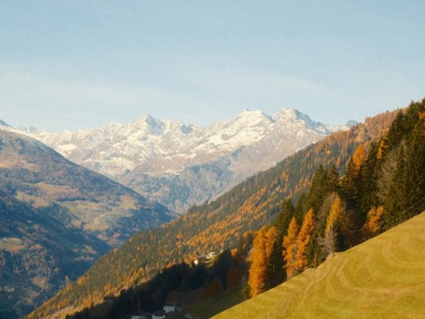 Camera Singola BIO Löwenzahn image 3