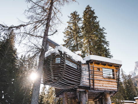 Casa sull'albero Vintage image 8