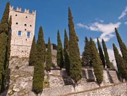 Castle of Arco