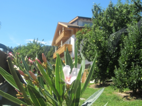 CHALET FELDHOF image 1