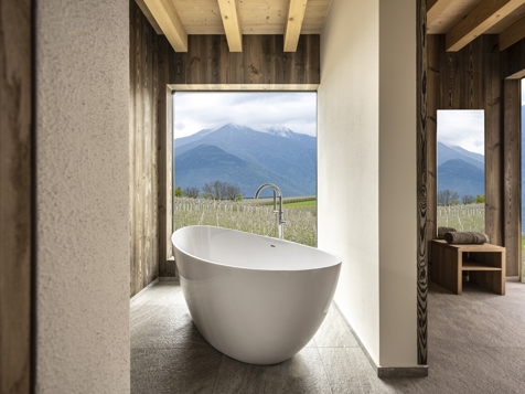 Chalet Premium image 6