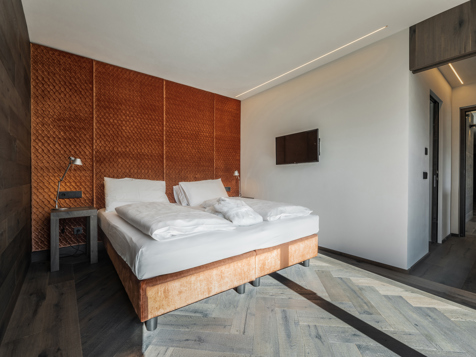 Chalet Typ D Latemar image 4