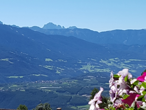 Chaletsuite mit Naturholz image 5