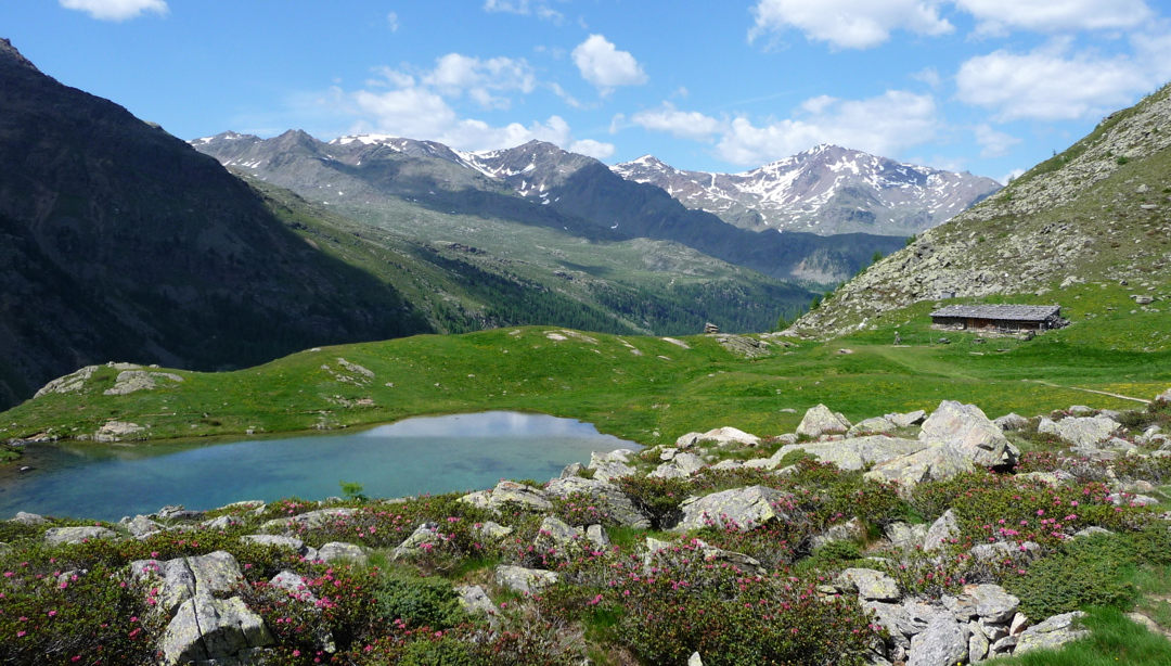 Urlaub Corvara in Südtirol Übersicht & Angebote