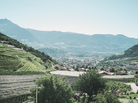 Delux Sonneck-Double room image 4