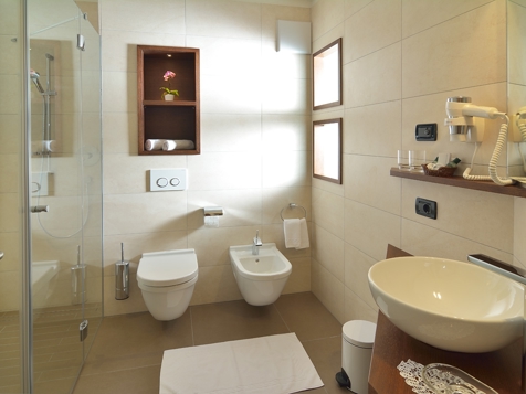 Deluxe room image 3