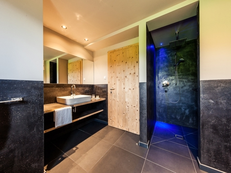 Deluxe Suite Alcedo image 7