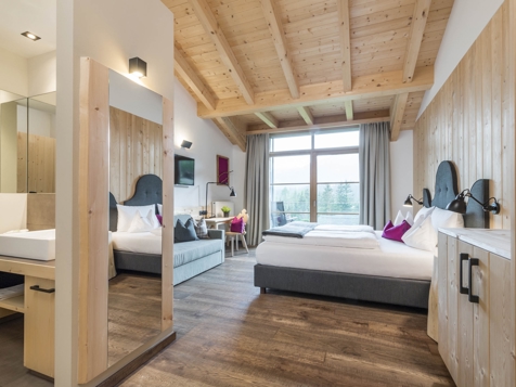 DOLOMITES ATTIC FLOOR - DELUXE ROOM WITH BALCONY image 3