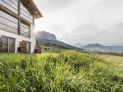 DOLOMITES - DELUXE ROOM WITH TERRACE AND GARDEN image 5
